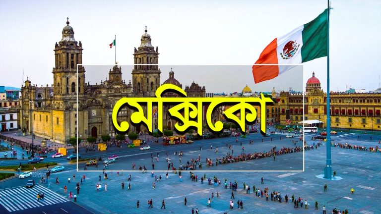 চীনা যন্ত্রাংশ ও পণ্য প্রবেশে বাণিজ্য হারানোর ভয়ে মেক্সিকো