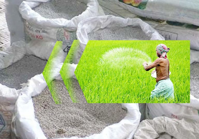 সারের বাজারে সিন্ডিকেটের থাবা, সংকটে খাদ্য উৎপাদন