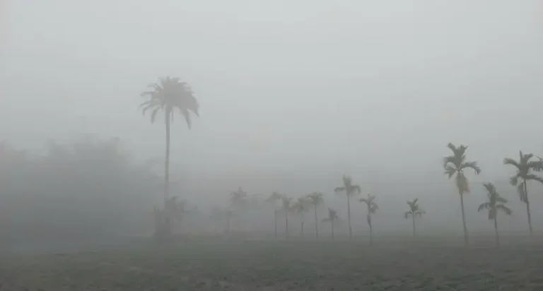 পঞ্চগড়ে শীতের আগমনী বার্তা, তাপমাত্রা কমে ১৪ ডিগ্রিতে