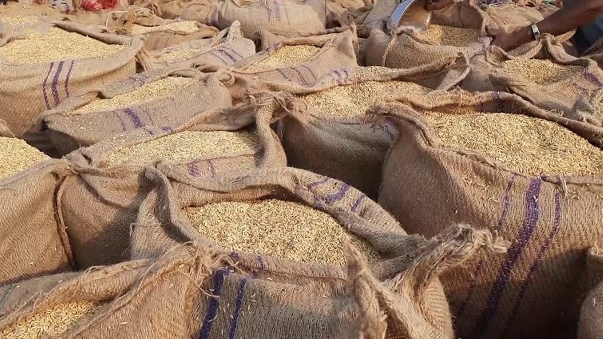 ধান-চালের মূল্য সরকার কম নির্ধারণ করায় কৃষকদের সাড়া নেই