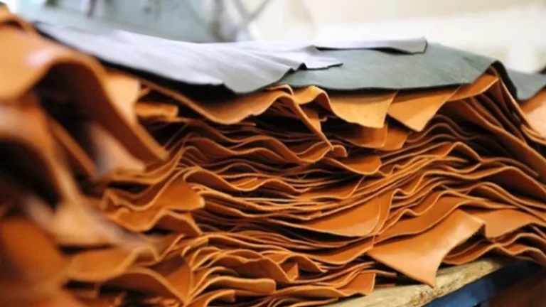 চামড়াশিল্পের সংকট ও রপ্তানি লক্ষ্য বাস্তবায়নের চ্যালেঞ্জ সিন্ডিকেট, ঋণ খেলাপি ও রপ্তানি সংকটে কোরবানির চামড়ার বাজারে স্থবিরতা