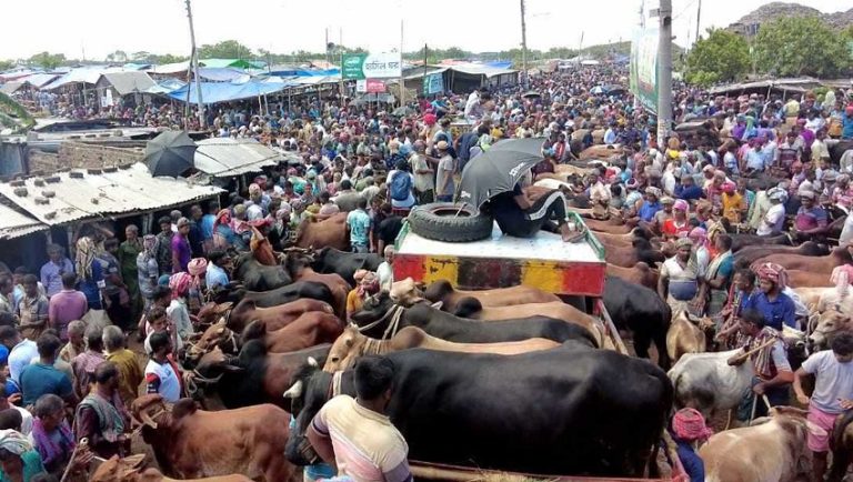 কোরবানির মৌসুমে হাইওয়ে পুলিশের প্রযুক্তিনির্ভর পরিকল্পনা কোরবানির মৌসুমে হাইওয়ে পুলিশের প্রযুক্তিনির্ভর পরিকল্পনা