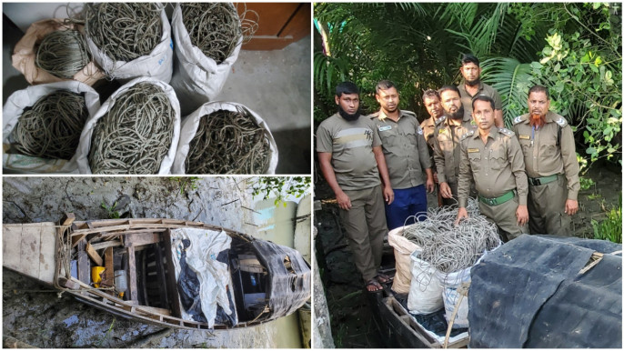 সুন্দরবনে হরিণ শিকারের ফাঁদসহ ট্রলার জব্দ সুন্দরবনে হরিণ শিকারের ফাঁদসহ ট্রলার জব্দ