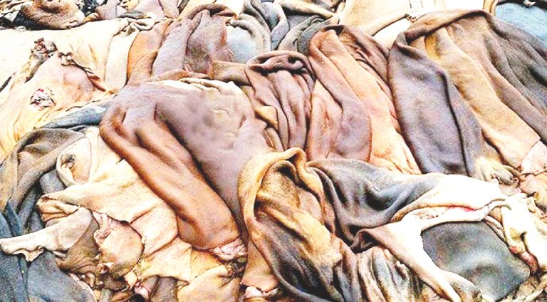 সাভারের চামড়া শিল্পনগরী এখন বেপজার অধীনে সরকার দাম ঠিক করলেও কম দামে বিক্রি হচ্ছে চামড়া