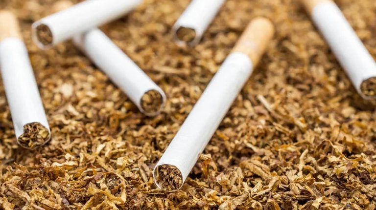 তামাক আইন সংশোধনে কোম্পানির ভূমিকা চায় না প্রজ্ঞা