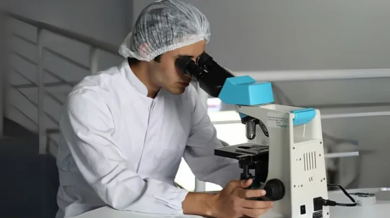 অবশেষে প্রাণ ও অপ্রাণের মাঝামাঝি এক রহস্যময় জীবের সন্ধান পেলেন বিজ্ঞানীরা। এমন একটি সত্তা, যার বৈশিষ্ট্য দেখে প্রাণ-অপ্রাণের সীমানা যেন ঘোলাটে হয়ে গেছে। এই নতুন জীবটির নাম রাখা হয়েছে **সুকুনাআর্কিয়াম মিরাবিল**, যার অর্থ—আশ্চর্যজনক ক্ষুদ্র জীব। নামটি নেওয়া হয়েছে জাপানের এক ক্ষুদে দেবতার নাম থেকে, যিনি ছোট আকারের জন্য বিখ্যাত। এই চমকপ্রদ আবিষ্কারটি করেছেন **কানাডার ডালহৌসি বিশ্ববিদ্যালয়ের** গবেষক **রিও হারাডার** এবং তার সহকর্মীরা। তারা যখন **সিথারিস্টেস রেজিয়াস** নামের এক সামুদ্রিক প্ল্যাঙ্কটনের শরীরে থাকা ব্যাকটেরিয়ার জিনোম বিশ্লেষণ করছিলেন, তখনই হঠাৎ চোখে পড়ে এই অদ্ভুত জীবের অস্তিত্ব। পরবর্তীতে এ নিয়ে বিস্তারিত গবেষণা প্রকাশিত হয়েছে বায়ো-আর্কাইভ নামক বৈজ্ঞানিক সাময়িকীতে। এই জীবটির সবচেয়ে বিস্ময়কর দিক হলো—এটি **নিজে রাইবোসোম তৈরি করতে পারে**, যার মাধ্যমে প্রোটিন উৎপাদন সম্ভব হয়। সাধারণত ভাইরাসের নিজের রাইবোসোম থাকে না; তাদের টিকে থাকতে হয় হোস্টের ওপর নির্ভর করে। কিন্তু সুকুনাআর্কিয়াম এক ধাপ এগিয়ে—নিজস্ব কিছু জৈবিক যন্ত্রপাতি রয়েছে তার। তবে একইসঙ্গে এটি হোস্টের কাছ থেকেও নির্দিষ্ট কিছু জৈব প্রক্রিয়ায় সহায়তা নেয়। অর্থাৎ, এটি সম্পূর্ণ স্বয়ংসম্পূর্ণ নয়, আবার পুরোপুরি নির্ভরশীলও নয়—একেবারে মাঝামাঝি একটি সত্তা। গবেষকরা বলছেন, সুকুনাআর্কিয়ামের **জিনোম অত্যন্ত ছোট**, যা সাধারণ আর্কিয়ার তুলনায় প্রায় অর্ধেক। তবু এর গঠন এতটাই জটিল যে বিজ্ঞানীরা একে ভাইরাস বা কোষযুক্ত জীব, কোনোটার সঙ্গেই পুরোপুরি মেলাতে পারছেন না। এটা শুধু একটি জীব নয়, বরং জীবনের সংজ্ঞাকেই যেন নতুন করে ভাবতে বাধ্য করছে। কোষীয় জীব এবং ভাইরাসের মধ্যে এতদিন যে পরিষ্কার সীমারেখা টানা ছিল, সুকুনাআর্কিয়াম যেন সেটাকে অতিক্রম করে ফেলেছে। গবেষকরা মনে করছেন, এই জীবের মধ্য দিয়ে হয়তো আমরা প্রথমবারের মতো এমন এক সত্তার মুখোমুখি হলাম, যা আমাদের প্রাণ ও প্রাণহীন জগতের মধ্যে থাকা রহস্যগুলো নতুন আলোয় দেখাবে। এই আবিষ্কার বিজ্ঞানের জগতে একটি নতুন দিগন্ত উন্মোচন করেছে। এটি কেবল ব্যতিক্রমী একটি জীব নয়, বরং আমাদের জীববিজ্ঞানের মূল ভিত্তিগুলো পুনর্বিবেচনা করার সুযোগ এনে দিয়েছে। সুকুনাআর্কিয়াম যেন বলে দিচ্ছে—জীবন আসলে ঠিক কতটা বিস্ময়কর, কতটা অজানা।