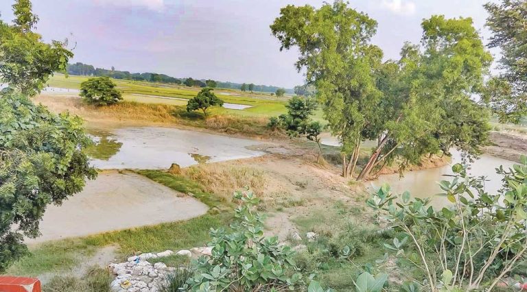 মুরগির খামারের দূষণে অতিষ্ঠ রাজশাহীর গ্রামবাসী