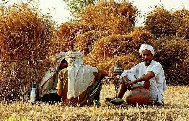 কৃষিখাতে কৃষকদের দুর্দশার এক ভয়াবহ চিত্র