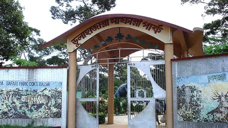 ডুলাহাজারা সাফারি পার্কে কোটি টাকার উন্নয়ন প্রকল্পে চরম অনিয়ম
