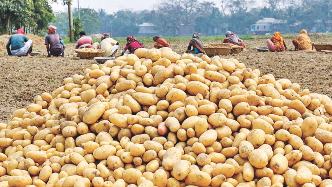 কৃষকের ন্যায্যমূল্য নিশ্চিত করতে ওএমএসে বিক্রির উদ্যোগ