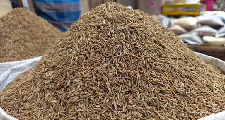 আমদানি কমলো জিরার ৪০ শতাংশ