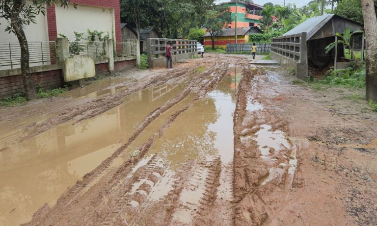 গ্রামীণ রাস্তা ভাঙা, টিআর টাকা খরচ শহরের সাজসজ্জায়