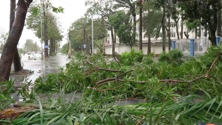 ভিয়েতনামে