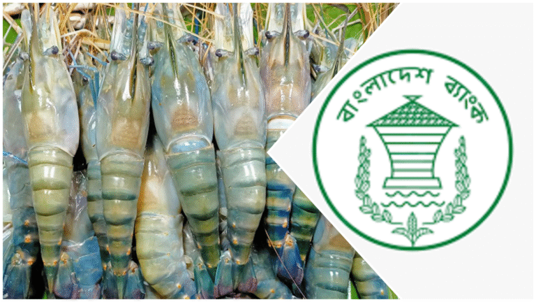 চিংড়ি ও মাছ রপ্তানিতে নগদ সহায়তার নতুন নিয়ম জারি