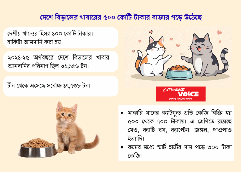 বছরে ৪০০ কোটি টাকার ক্যাট ফুড আমদানি করছে বাংলাদেশ