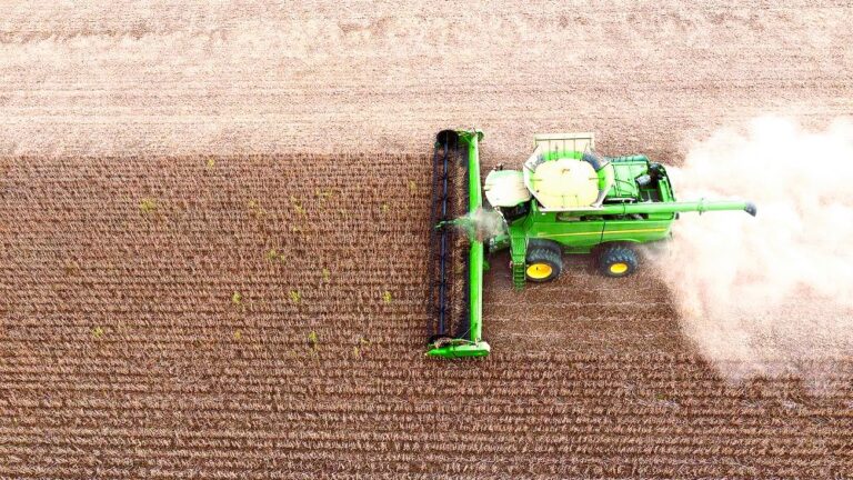 যুক্তরাষ্ট্র থেকে চীনের সয়াবিন আমদানি হ্রাসে বাংলাদেশ লাভবান