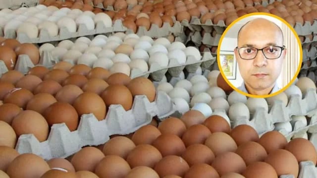 ডিম-মুরগি সিন্ডিকেটের কাল্পনিক উপখ্যান