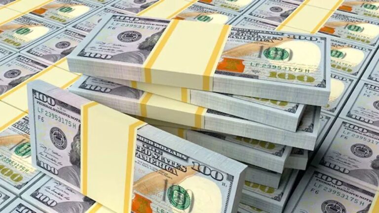 ২৫ দিনে প্রবাসী আয় ২০৩ কোটি ২৯ লাখ ডলার