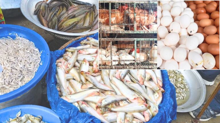 মাছের দাম চড়া, মুরগি-ডিমে ক্রেতাদের কিছুটা স্বস্তি