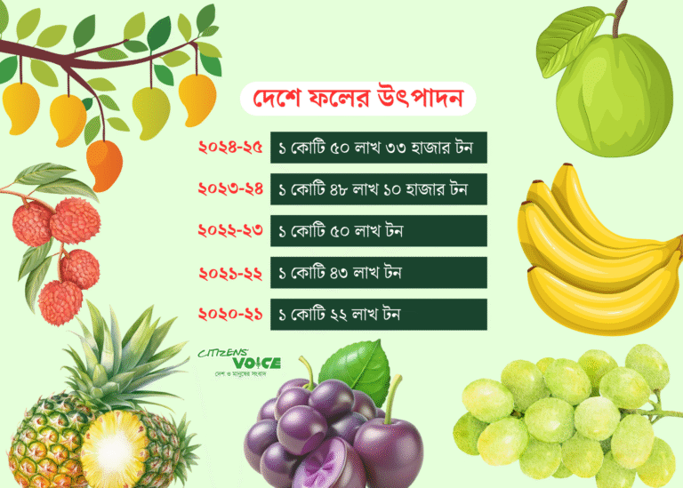 দেশের ফল উৎপাদন বেড়েছে ৫০ লাখ টন