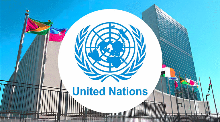 হঠাৎ জাতিসংঘ বিলুপ্ত হলে বিশ্বজুড়ে কী হতে পারে?