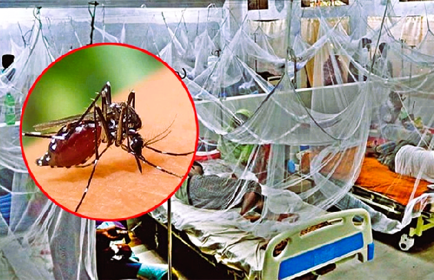 ডেঙ্গু এখন স্থায়ী মহামারি, অক্টোবর-নভেম্বরে সর্বাধিক প্রকোপ কেন?