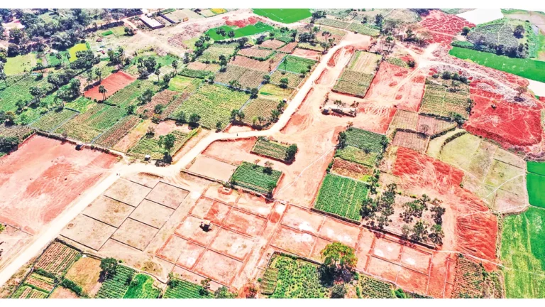 দখল–দূষণে বিলীন সাভারের ঐতিহ্যবাহী গোলাপ গ্রাম