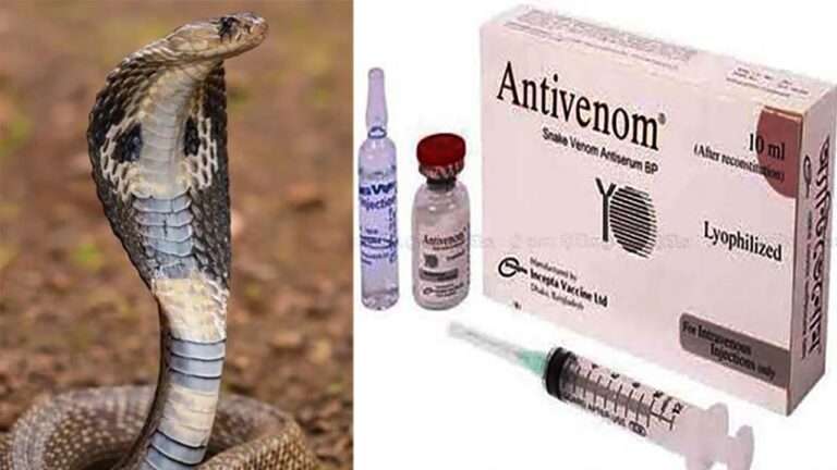 দেশের সব উপজেলায় অ্যান্টিভেনম সরবরাহের নির্দেশ অ্যান্টিভেনম