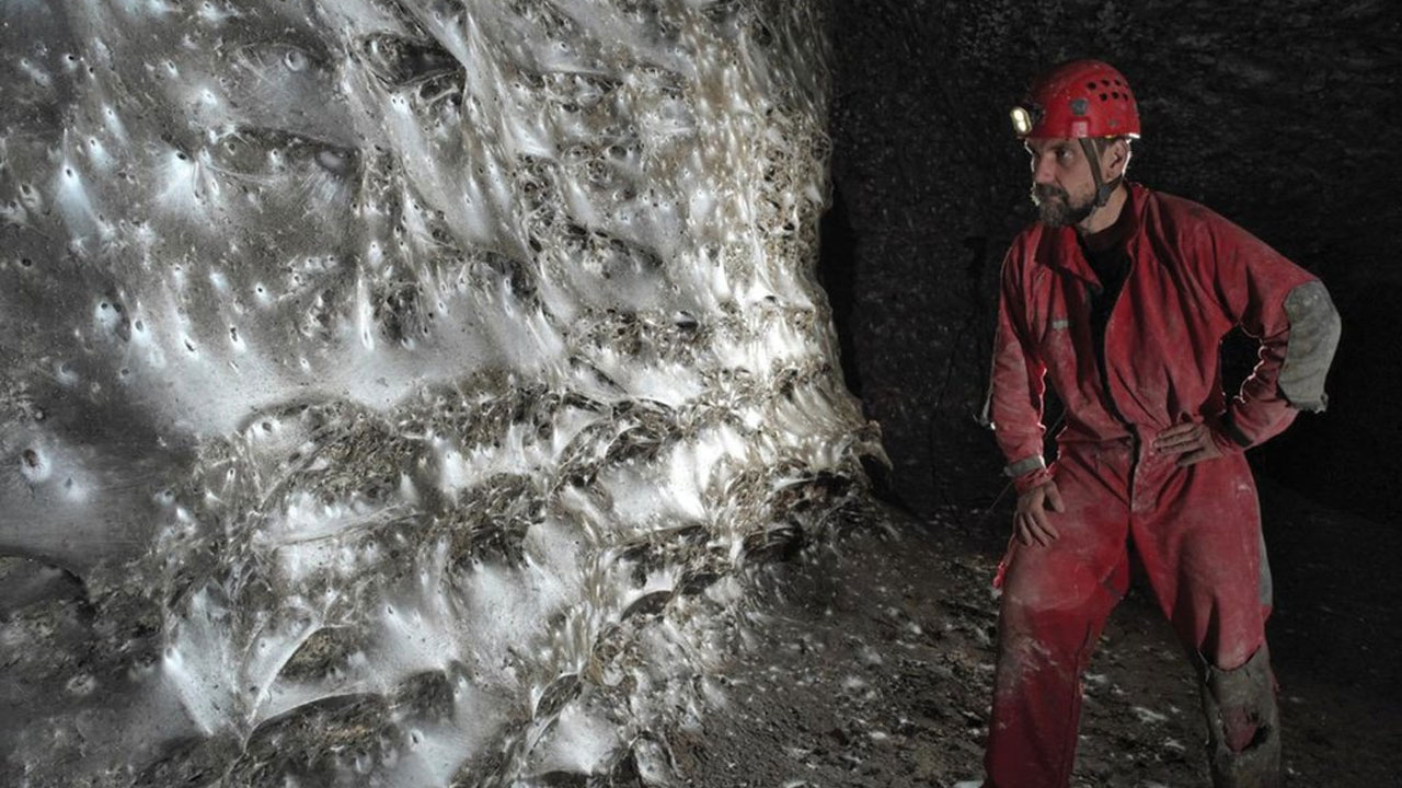 অন্ধকার গুহায় লক্ষাধিক মাকড়সার জালের সাম্রাজ্য