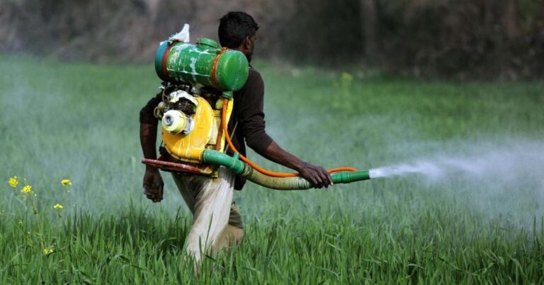 দেশে এখনও ১৭টি অত্যন্ত ক্ষতিকর কীটনাশক ব্যবহার হচ্ছে