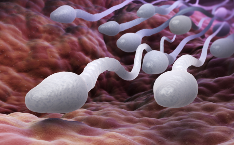 জিনগত ক্যানসারবাহী দাতার শুক্রাণুতে ২০০ শিশুর জন্ম