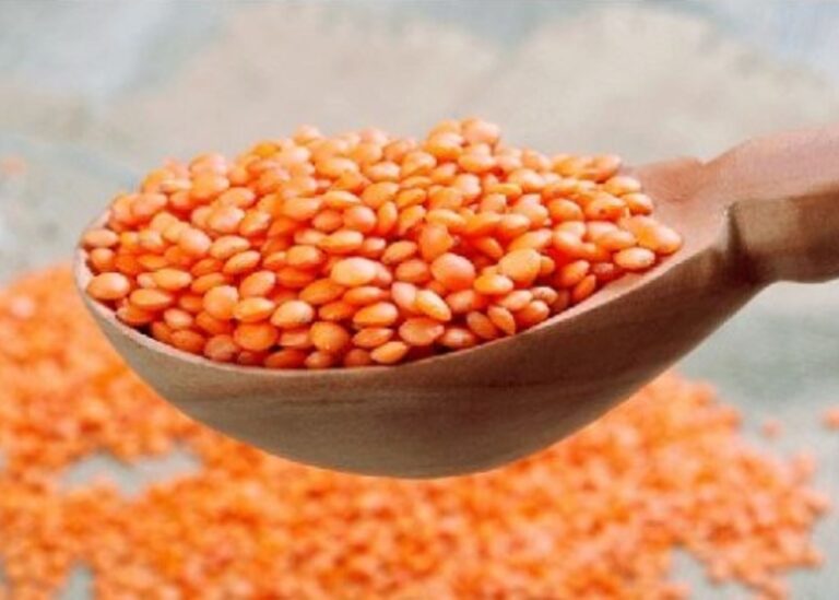 টনপ্রতি ৭২ টাকায় ১০ হাজার টন মসুর ডাল কিনবে সরকার