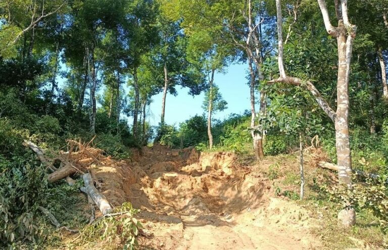রাতের আঁধারে বনাঞ্চলের পাহাড় কেটে মাটি বিক্রি