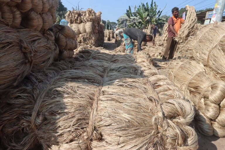 চার বছরের মন্দা কাটিয়ে ঘুরে দাঁড়াচ্ছে পাটপণ্য রপ্তানি