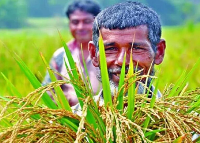 ছয় মাসে কৃষি খাতে ঋণ বিতরণ ২১ হাজার কোটি টাকা