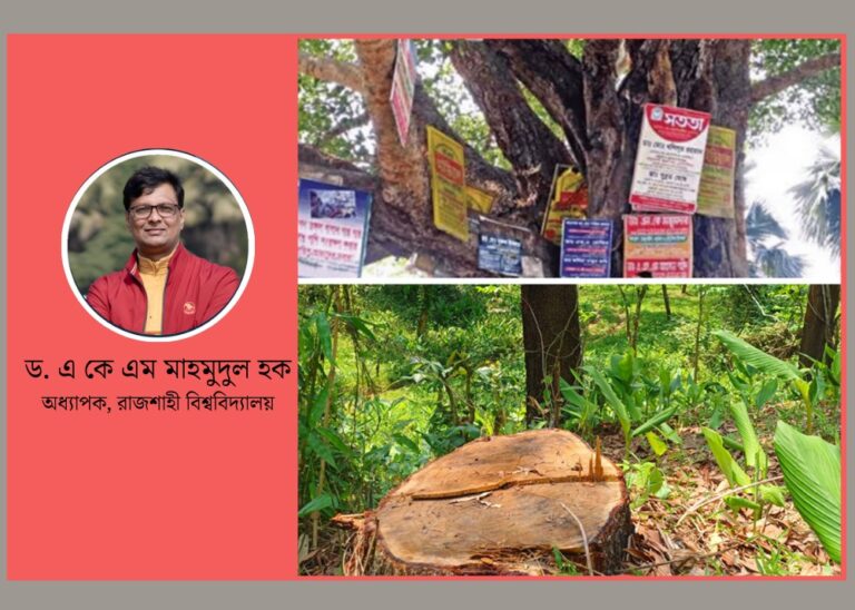 গাছে পেরেক বা কাটায় বড় অঙ্কের জরিমানা ও আইনের বাস্তবতা