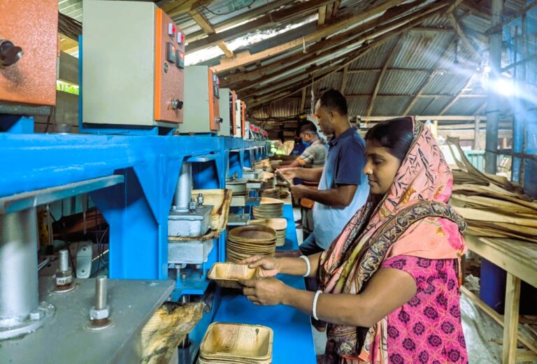 সুপারির খোলেই বদলে যাচ্ছে গ্রামের অর্থনীতি