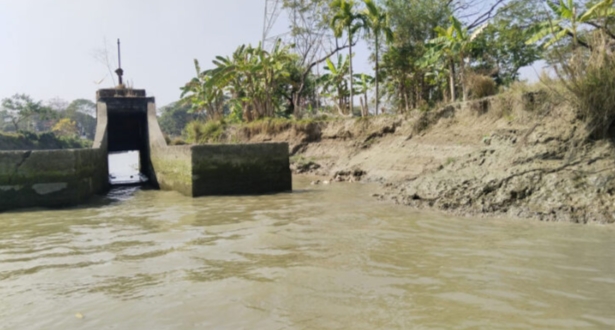 বরিশালে পানি উন্নয়ন বোর্ডের ৭৮ সেচ পাম্প অচল: কৃষি উৎপাদনে নেতিবাচক প্রভাব