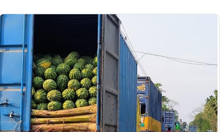 ভোলার ইলিশা ফেরিঘাটে আটক তরমুজবাহী শতাধিক ট্রাক: পঁচে নষ্ট হচ্ছে তরমুজ