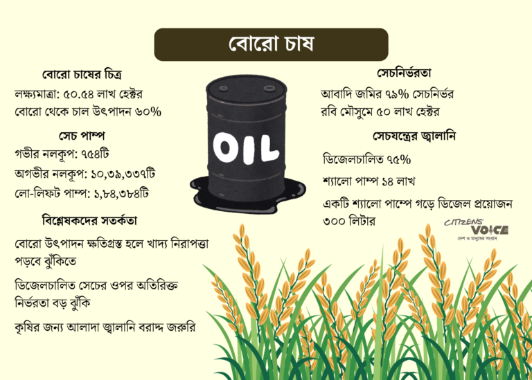 ডিজেল সংকটের আশঙ্কা: বোরো মৌসুমে দুশ্চিন্তায় কৃষক
