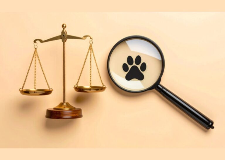 প্রাণী সুরক্ষায় আইনি নোটিশ—পদক্ষেপ না নিলে রিটের হুঁশিয়ারি