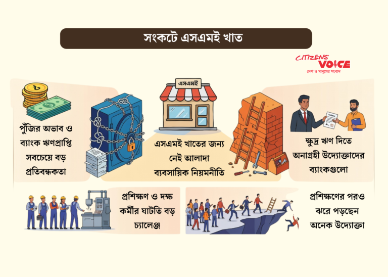 ঋণ ও নীতি জটিলতায় ঘুরপাক খাচ্ছে দেশের এসএমই খাত