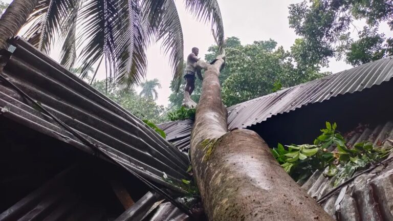 বরিশালে কালবৈশাখির তাণ্ডবে বিধ্বস্ত মেহেন্দীগঞ্জ, লণ্ডভণ্ড শতাধিক ঘরবাড়ি
