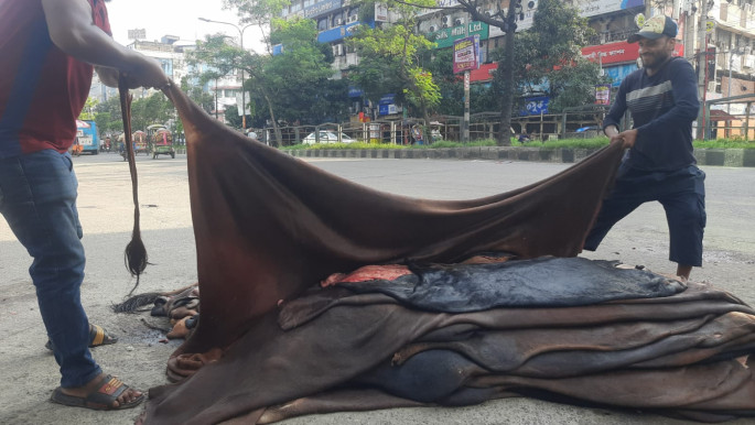 চামড়ার দামে ধস: সাইন্সল্যাবে ৭০০ টাকার চামড়া ৫০০ টাকা, ব্যবসায়ীদের হাহাকার