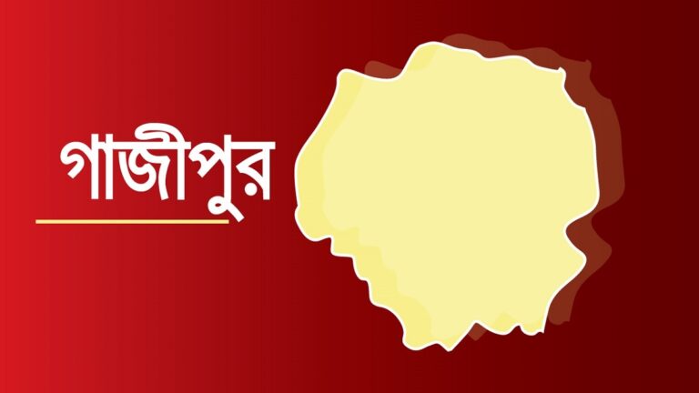 গাজীপুরে স্ত্রী-সন্তানসহ একই পরিবারের ৫ জনকে হত্যা