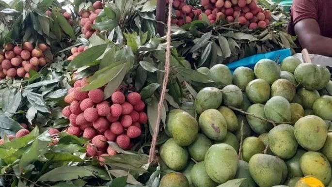ফল রপ্তানিতে রেকর্ড ১২ কোটি ৩০ লাখ ডলার আয়, এগিয়ে প্রবাসী চাহিদা