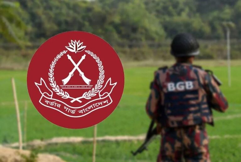 এক মাসে ১৭৮ কোটি টাকার চোরাচালান পণ্য জব্দ করেছে বিজিবি