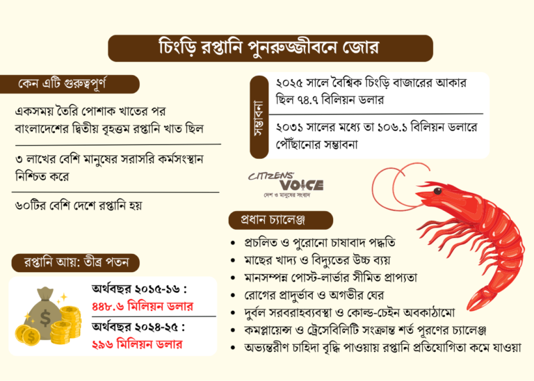 চিংড়ি শিল্পে অর্থনৈতিক অঞ্চল গঠনের পরিকল্পনা