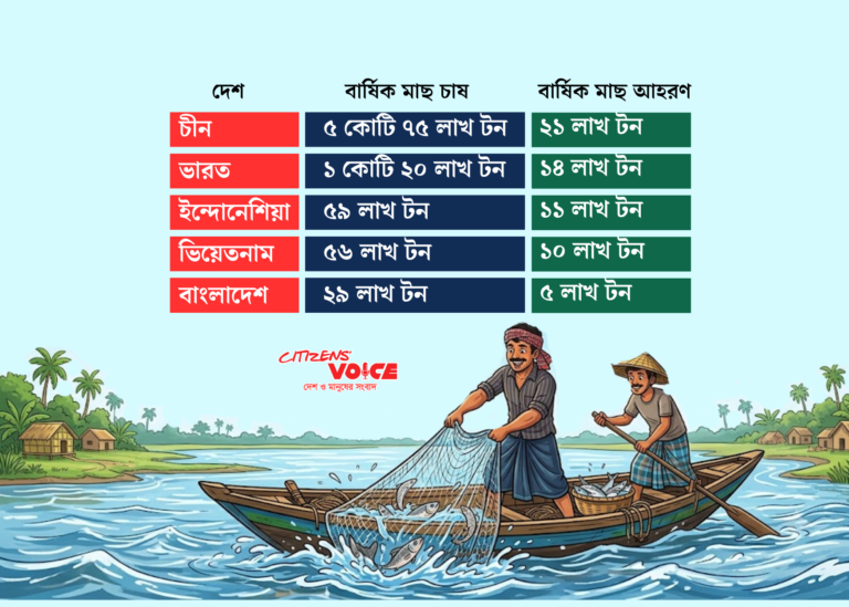 চাষের মাছে বিশ্বসেরা পাঁচের কাতারে বাংলাদেশ