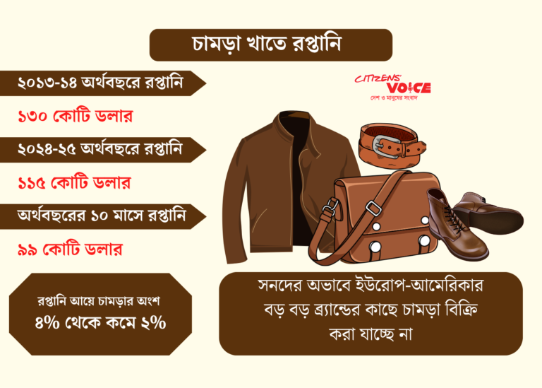 বৈশ্বিক সনদ না থাকায় পিছিয়ে দেশের চামড়া খাত